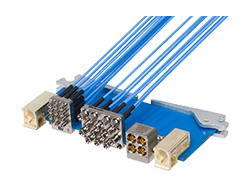 Amph-SV-Micro_Vita67_V3